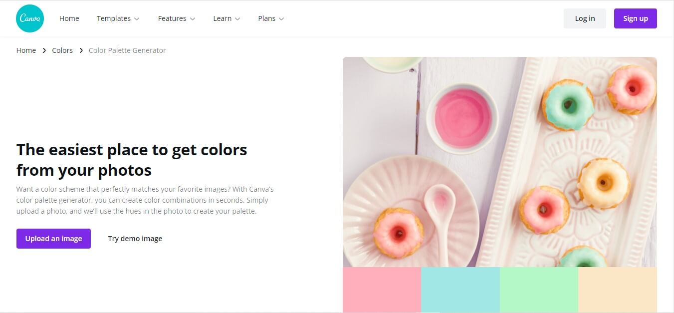 Canva color palette