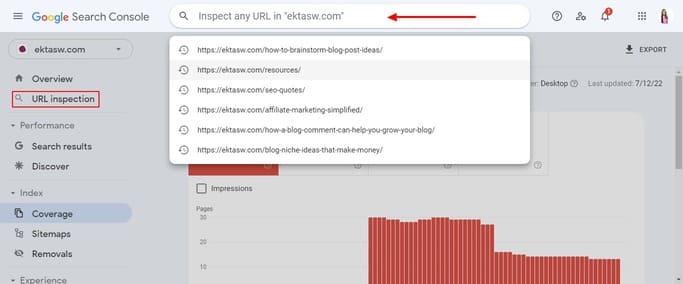 choosing the index url option on Search Console