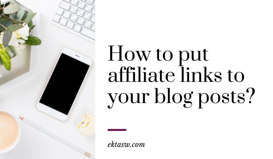 how to put affiliate links to your blog posts